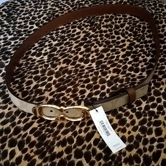 COPY - Coach belt - Picture 1 of 7